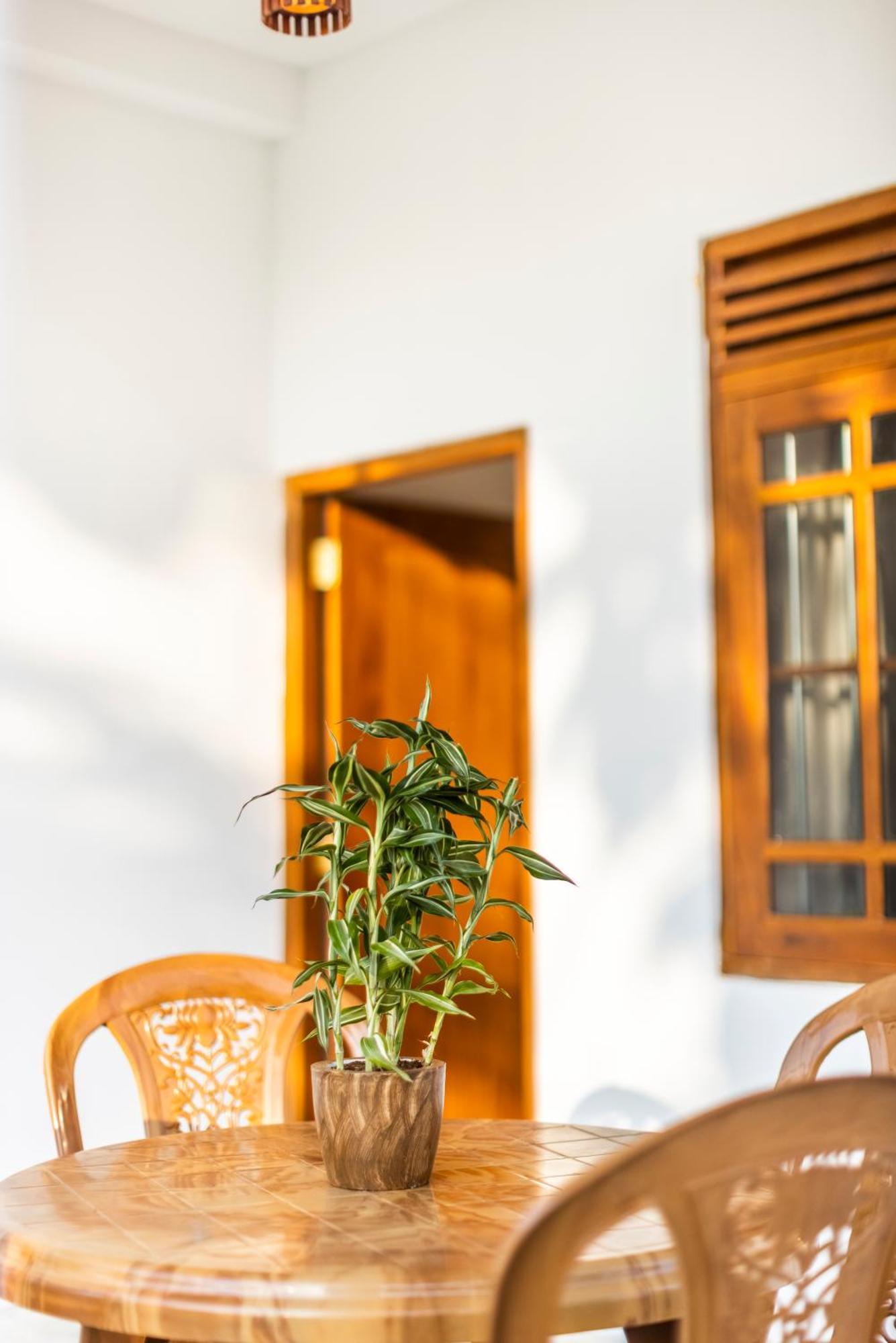 Makai Surf House Hotell Ahangama Eksteriør bilde