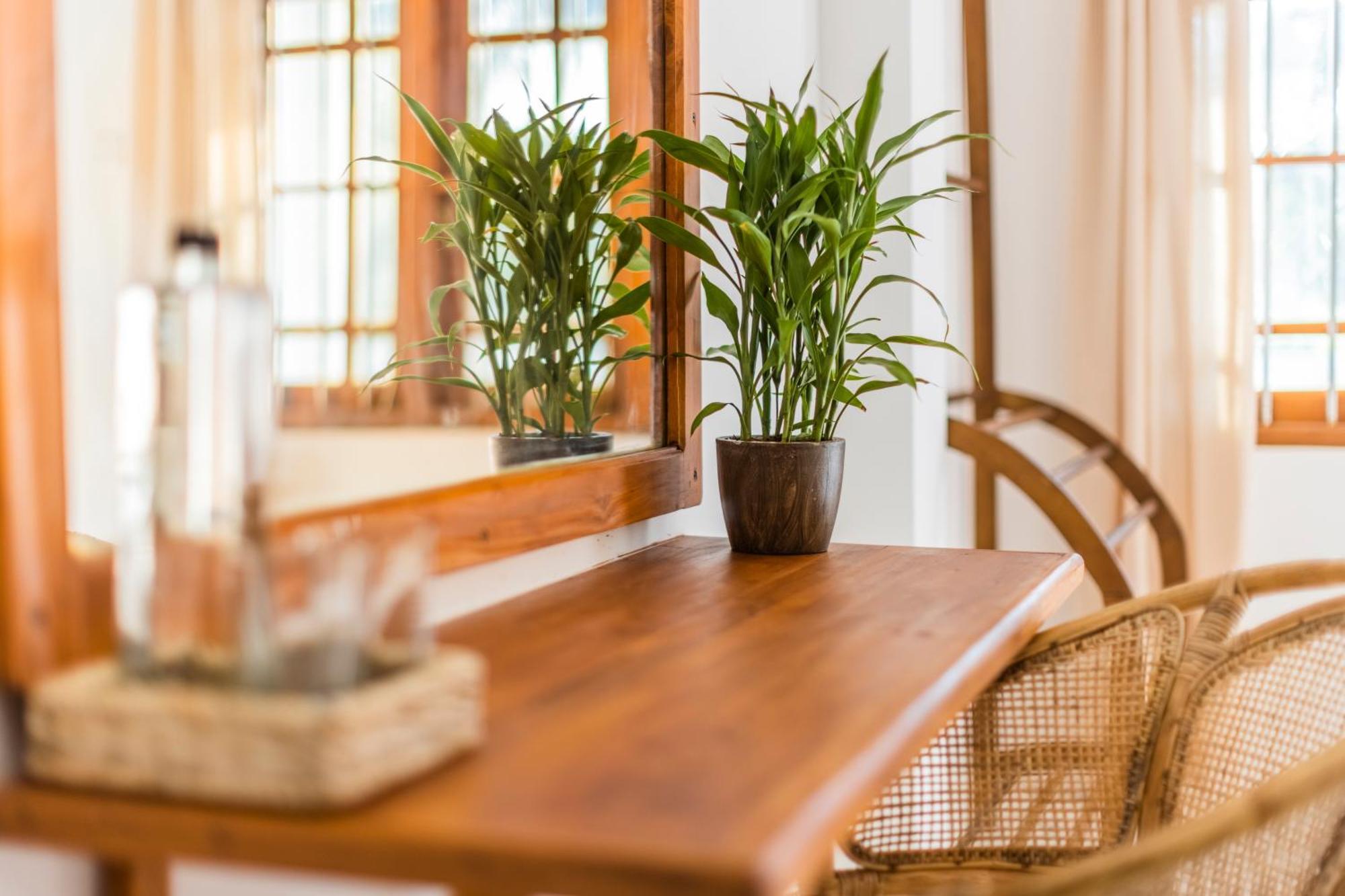 Makai Surf House Hotell Ahangama Eksteriør bilde