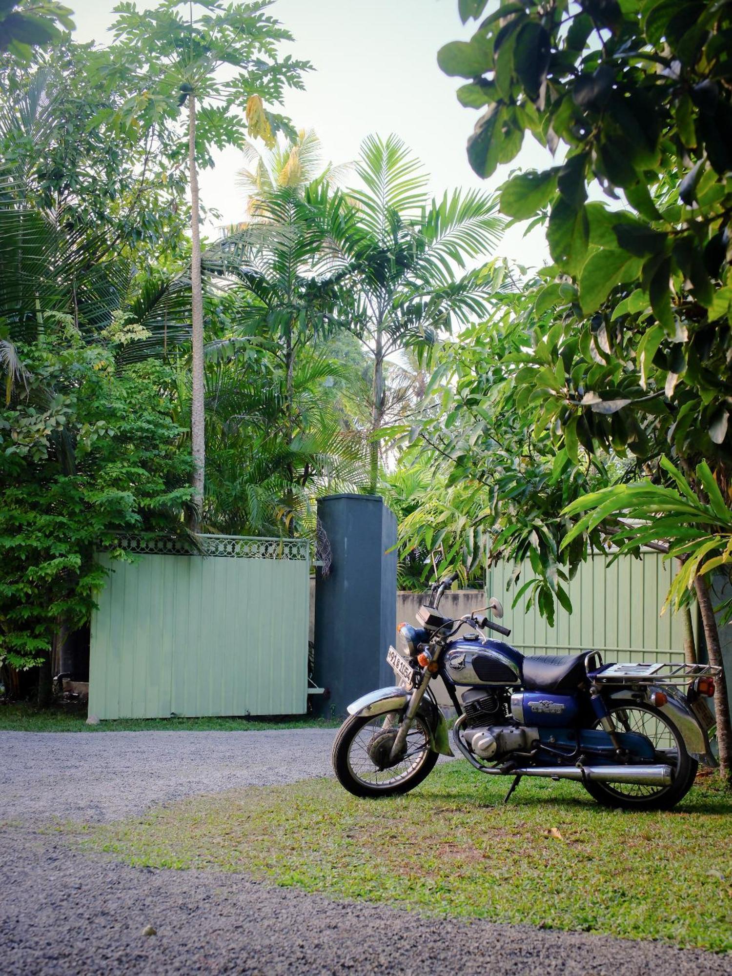 Makai Surf House Hotell Ahangama Eksteriør bilde